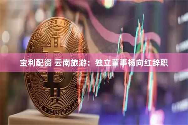 宝利配资 云南旅游：独立董事杨向红辞职