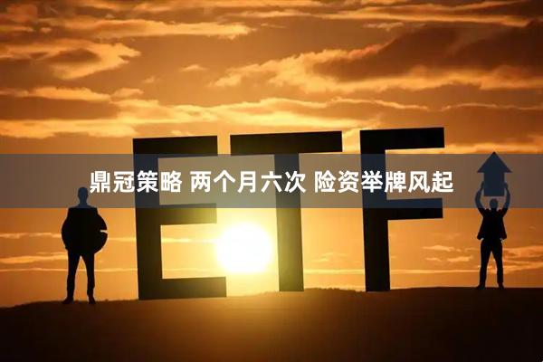 鼎冠策略 两个月六次 险资举牌风起