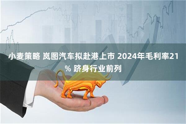 小麦策略 岚图汽车拟赴港上市 2024年毛利率21% 跻身行业前列