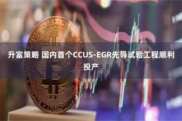 升富策略 国内首个CCUS-EGR先导试验工程顺利投产