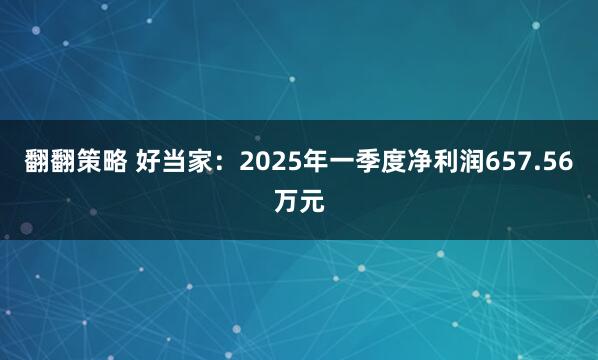 翻翻策略 好当家：2025年一季度净利润657.56万元
