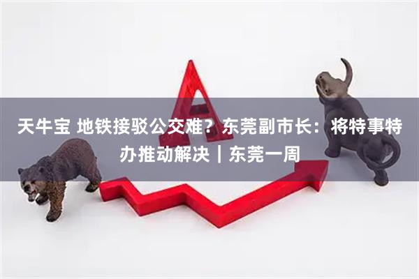 天牛宝 地铁接驳公交难？东莞副市长：将特事特办推动解决｜东莞一周