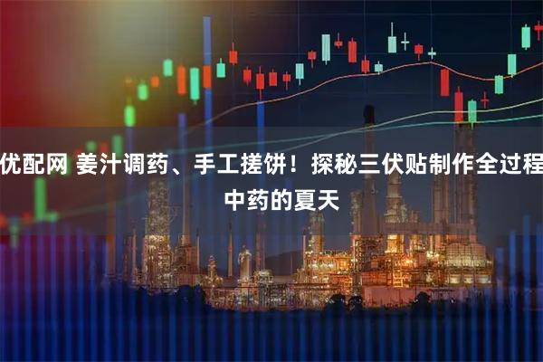 优配网 姜汁调药、手工搓饼！探秘三伏贴制作全过程   中药的夏天